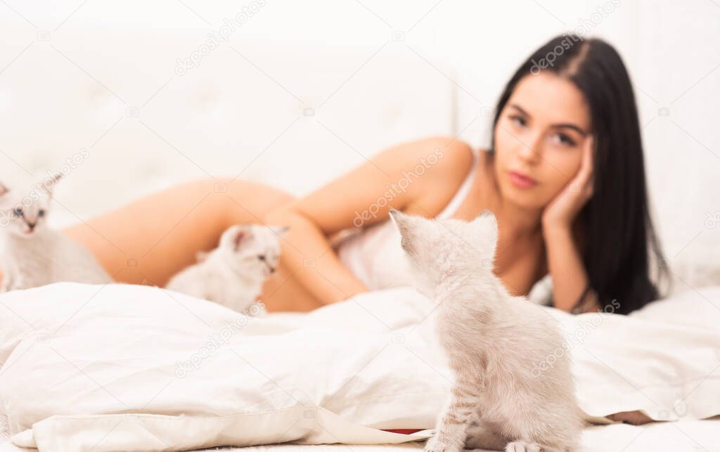 Cat erotic