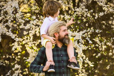Bahar yürüyüşü. Basit mutluluk. Mutlu bir aile. Babalık mutluluğu. Babalar Günü. Doğada yaşayan küçük bir çocuk ve baba. Hippi ve küçük oğlu. Birlikte bahçeyi keşfediyoruz. Mutluluk kavramı