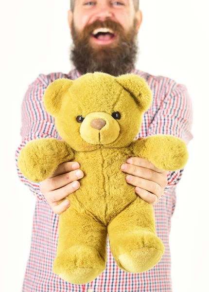 Man holds soft toy in hand on white background, defocused.