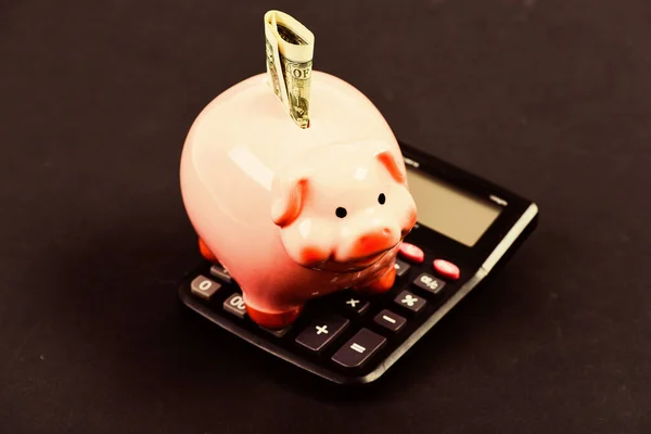 Piggy bank with calculator. Moneybox. bookkeeping. financial report. family budget management. business start up. Working with numbers. calculation of annual income. saving money. First salary — Stock Photo, Image