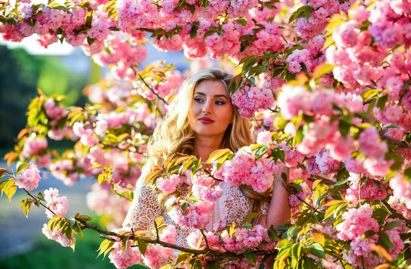 Simbolo primavera. Ragazza godere di sakura in giardino. Fioritura di primavera. Buon giorno di primavera. Tendenza e femminilità. Ciliegio. Aroma floreale. Motivi per cui i fiori rendono felici le donne. Riposo relax e vacanza — Foto Stock