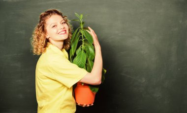 Çiçekçi konsepti. Botanik bitkiler, çiçekler ve bitkiler hakkındadır. Saksıda saksı tutan bir kız. Evi strese sokan ve size huzur ve sükunet sağlayan bitkiler. Bitkilere iyi bak.