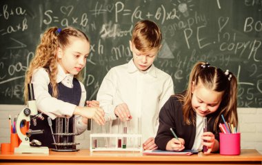 Resmi eğitim. Kızlar ve erkek öğrenciler sıvılarla okul deneyi yapıyorlar. Okul laboratuarı. Grup öğrencileri kimyasal sıvılar üzerinde çalışıyor. Okulun kimya dersi. Madde içeren test tüpleri