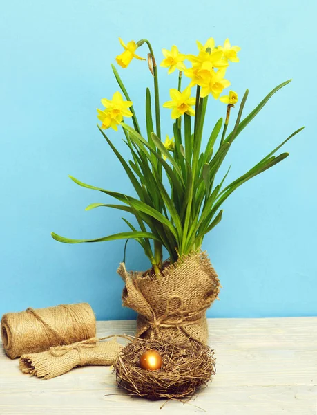 Primavera narciso amarelo, ovo de páscoa dourado e linha ou corda — Fotografia de Stock