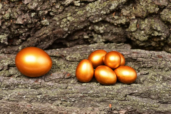 Corteza de árbol con huevos dorados tradicionales de Pascua en madera, antigüedades —  Fotos de Stock