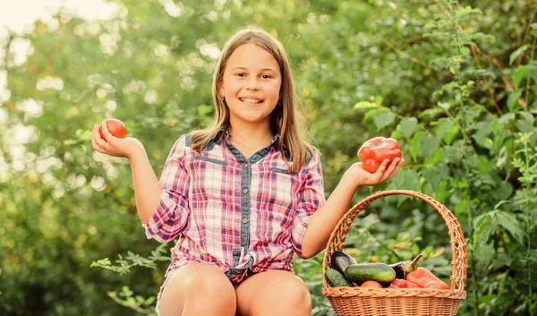 Eat healthy. Summer harvest concept. Organic harvest. Healthy lifestyle. Kid gathering vegetables nature background. Healthy homegrown food concept. Girl cute smiling child living healthy life