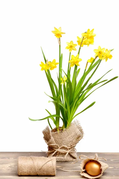 Primavera narciso amarelo, ovo de páscoa dourado e linha ou corda — Fotografia de Stock