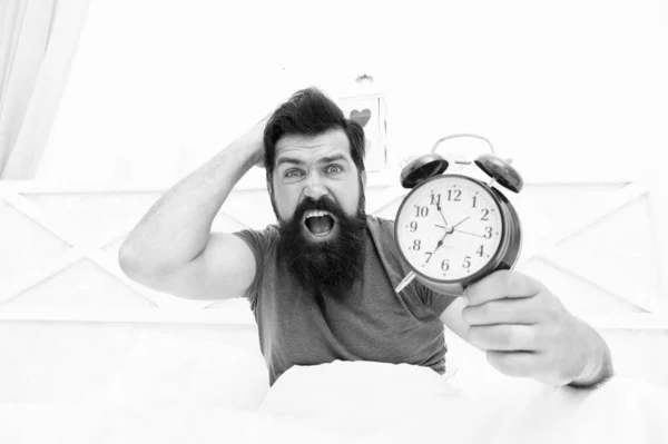 Get up right now. What time is it. Stressed man alarm clock. Sleepy man holding alarm clock in bed. Bearded man with alarm clock. Hipster want to sleep. Hate early morning awakening. Daily stress