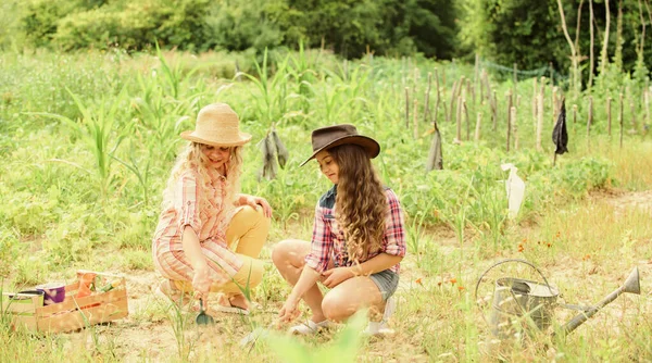 Le meilleur service pour vous. les enfants travaillent sur le terrain utilisent l'outil de jardinage. les petites filles paysannes dans le jardin du village. Jour de la Terre. ferme familiale d'été. une agriculture heureuse. printemps côté campagne. protéger la nature. Une récolte riche — Photo