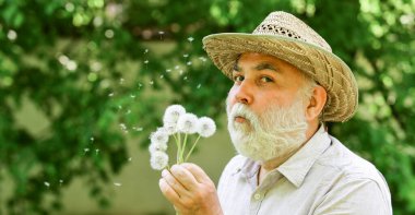 Happy and carefree retirement. Mental health. Peace of mind. Elderly man in straw summer hat. Grandpa senior man blowing dandelion seeds in park. Harmony of soul. Peaceful grandpa blowing dandelion clipart