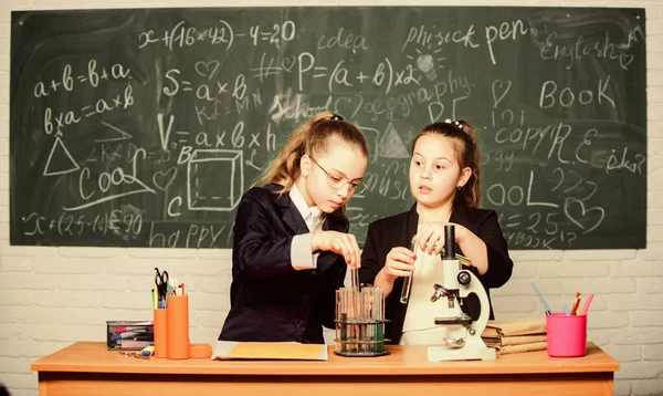 Vetenskapligt koncept. Gymnasieelever med fördjupade naturvetenskapliga studier. Flickor skoluniform upptagen med att bevisa sin hypotes. Privatskola. Skolprojektundersökning. Skolexperiment — Stockfoto