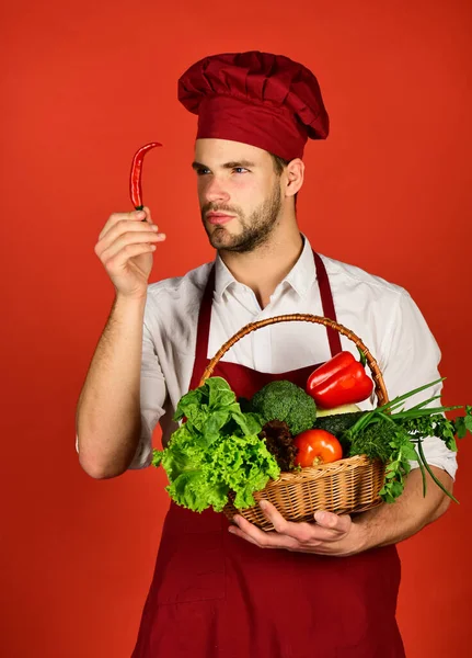 Chef en uniforme borgoña mira el chile rojo en la mano . —  Fotos de Stock