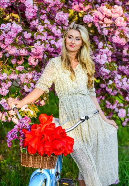 Bahar tatili. Turizm konsepti. Ulaşım ve seyahat. Sakura mevsimi. Flora ve botanik. Lale buketli kadın. Sakura ağacı çiçek açıyor. Günlük kıyafet retro kruvazör bisiklet sakura ağacı