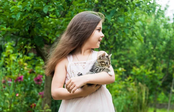 Postarám se o tebe. malá holka držet roztomilou kočku v ruce. To dítě miluje svého mazlíčka. lidské a zvířecí. lásku a péči. načechrané kotě v ruce krásného dítěte. malá krása venku s domácím mazlíčkem. šťastné dětství — Stock fotografie