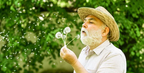 Elderly man in straw summer hat. Happy and carefree retirement. Lonely grandpa blowing dandelion seeds in park. Mental health. Peace of mind. Peacefulness. Tranquility and serenity. Harmony of soul