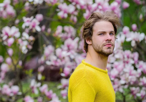 Aproveitando o dia de primavera. Cheiro a sakura. desfrutar de bom tempo. Sinto-me refrescado. homem fundo sazonal natural. Alergia. sexy cara florescendo magnólia árvore de flores. Férias. A sexualidade masculina — Fotografia de Stock