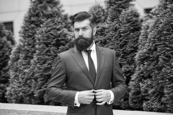 Entrepreneur prospère. La vie professionnelle. Homme d'affaires style classique fond de parc urbain. Homme d'affaires barbu porter costume parfait à la mode. Homme d'affaires coiffure bien soignée. Centre d'affaires — Photo