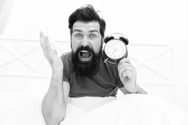 Odio svegliarmi presto. Stress quotidiano. Ho dormito troppo. Alzati subito. Sveglia uomo stressato. Un uomo assonnato che tiene la sveglia a letto. Uomo barbuto con sveglia. Hipster vuole dormire — Foto Stock