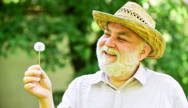 İçim rahat olsun. Ruhun ahengi. Huzurlu büyükbaba karahindiba üflüyor. Mutlu ve kaygısız emeklilik. Büyükbaba parkta karahindiba tohumu saçıyor. Hasır şapkalı yaşlı bir adam. Ruh Sağlığı
