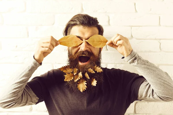 Hipster med löv i skägg — Stockfoto