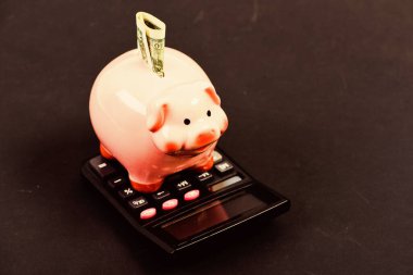 Ekonomi ve finans. Finansal refah. Tasarruf hesabı. Tasarruf. Piggy Bank Pembe Domuz dolar banknot ve hesap makinesi doldurdu. Tasarruf depozitosu tasarruf etmek için uygun esnek bir yoldur