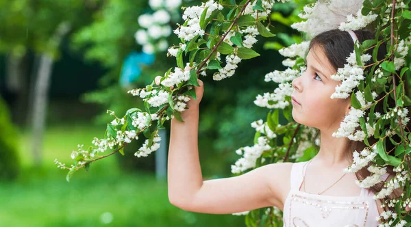 私の記憶。夏の自然。女性の美容師ファッション。長い巻き毛の女の子。白いドレスの小さな美しさ。結婚式の天使の子。子供は公園でジャスミンの花を楽しむ。春咲きの木 — ストック写真