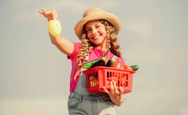 Yemek yiyorum. hasat vitamini. Bahar pazarı bahçesi. Çocuklar için sağlıklı yiyecekler. Çocuk yaz çiftliğinde. Organik yiyecekler. Mutlu küçük çiftçi. Sonbahar hasadı. Sepette küçük bir sebze kız. Çok doğal. — Stok fotoğraf