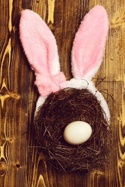 Białe jajko w małym gnieździe. Szczęśliwej koncepcji Wielkanoc — Zdjęcie stockowe