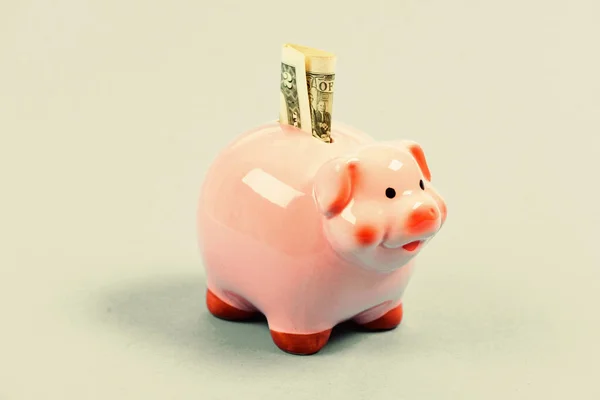 Money saving. Banking account. Earn money salary. Money budget planning. Piggy bank pink pig stuffed dollar banknote cash. Save money. Financial wellbeing. Economics and finance. Credit concept