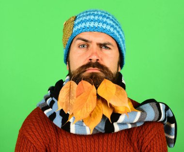 Sonbahar ve düşen yapraklar kavramı. Kafası karışık adam.