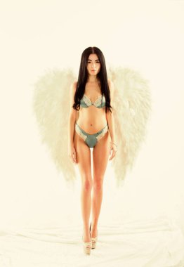 Arzu edilen ve cezbedici bir bayan. Saflık ve masumiyet. Melek kanatlarıyla poz veren hassas, şehvetli bir kadın. Moda modeli. Kız iç çamaşırı ve melek kanatları takıyor. Kadınlık ve duygusallık. Erotik melek.