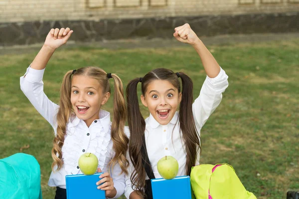 Lebensmittelwissen ist Gesundheitsmacht. Glückliche Kinder feiern den Wissenstag. Zurück zur Schule. 1. September. Schuljause. Gesund und energiegeladen. Energetische Ernährung. Wissen und Information. Wissen ist Brain Food — Stockfoto