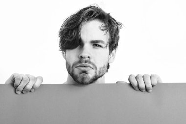 Sakallı adam, beyaz, seksi, ciddi maço.