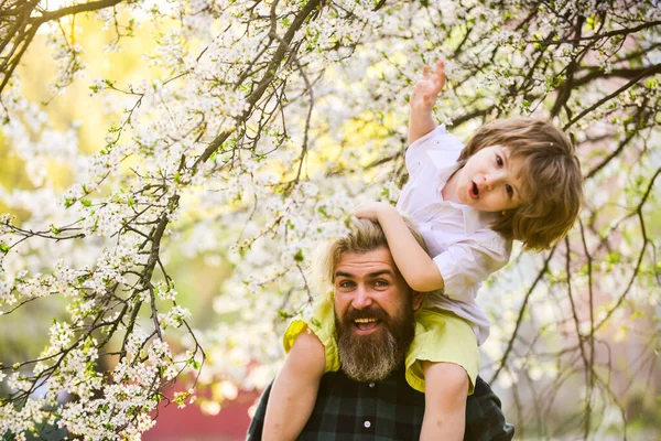 Springtime. Hipster piggybacking baby. Bearded brutal man good father. Dad and son. Best dad ever. Fathers day. Child having fun with dad. Happy family. Little boy and father in nature background — Stock Photo, Image