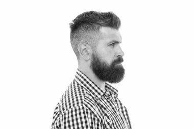 Erkekler için hizmetler. Berberine güven. Yüz kılları. Uzun sakallı hippi ve beyaz arka planda şık saçlı. Sakallı ve bıyıklı acımasız adam. Sakallı, sakalsız, sakalsız adam.