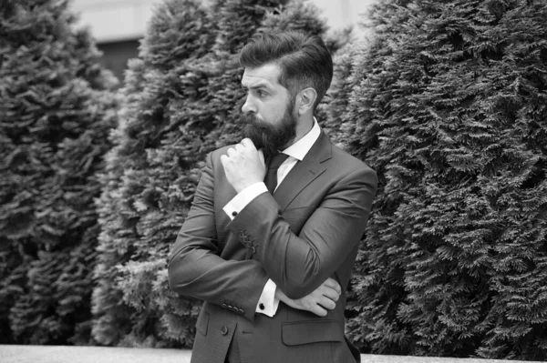 Vida de negócios. Homem de negócios estilo clássico parque urbano fundo. Homem de negócios bem tratado penteado. Centro de negócios. Homem de negócios barbudo desgaste perfeito terno elegante. Empresário de sucesso — Fotografia de Stock