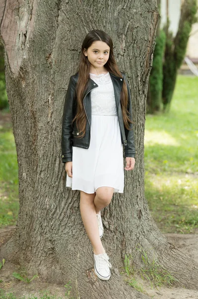 Lindo y de moda. Niño pequeño de pie en el árbol en el parque. El look de moda de la pequeña modelo. Diseñador de ropa de niño y ropa. Moda y estilo. Moda y estilo de vida infantil. Tendencia de moda — Foto de Stock