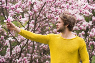 Gelişme ve büyüme