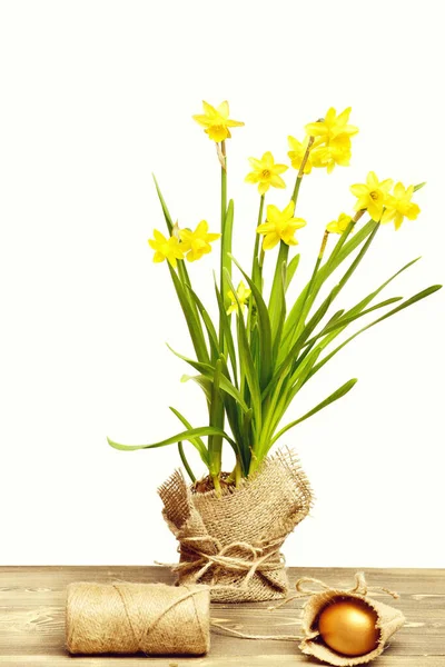 Narciso amarillo primaveral, huevo de Pascua dorado e hilo o cuerda —  Fotos de Stock
