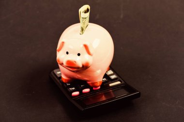 Finansal refah. Tasarruf hesabı. Tasarruf. Piggy Bank Pembe Domuz dolar banknot ve hesap makinesi doldurdu. Tasarruf depozitosu tasarruf etmek için uygun esnek bir yoldur. Ekonomi ve finans