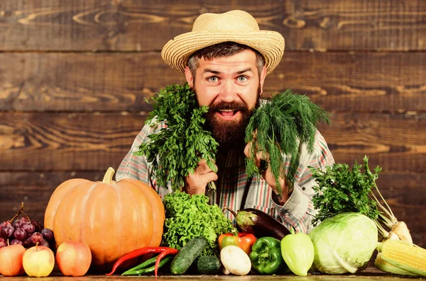 优质蔬菜。留着胡子的人为自己的收获蔬菜、木制背景而自豪.种植有机蔬菜的农民。只是从花园。杂货店的概念。买新鲜土生土长的蔬菜 — 图库照片
