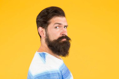Güzel sakal ve bıyık bakımı. Hipster görünümü. Sakal ve berber konsepti. Sakallı, hippi tarzı sakallı ve sarı bıyıklı bir adam. Ben mükemmelim. Berber ipuçları sakal bırakır
