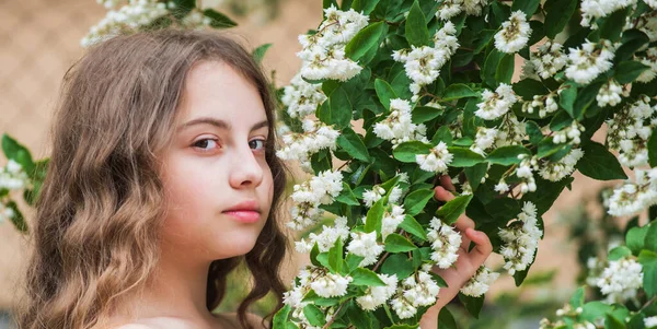 Prawdziwy podziw. dziecko cieszyć się kwiat jaśminu w parku. wiosenne kwitnące drzewo. Letnia przyroda. Kobieca moda fryzjera. Mała dziewczynka z długimi kręconymi włosami. Mała ślicznotka w białej sukience. weselny aniołek — Zdjęcie stockowe