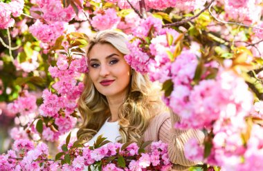 Sakura çiçeğine dalmak. Sakura çiçekleri. Çiçek Özütü. Gerekli yağlar. Doğal kozmetikler. Dişi çiçek parfümü. Pembe çiçekler etrafını sarmış. Bahar doğası. Güzel kadın makyajı, yüzü sarı saçlar.