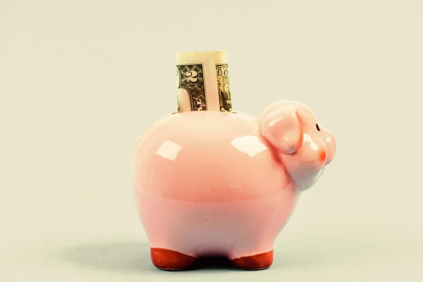 ピギーバンクピンクの豚はドル紙幣の現金を詰めた。金を貯めろ。経済と金融。信用の概念。貯金だ。銀行口座だ。給料を稼ぐ。お金の予算計画。金融の健全性 — ストック写真