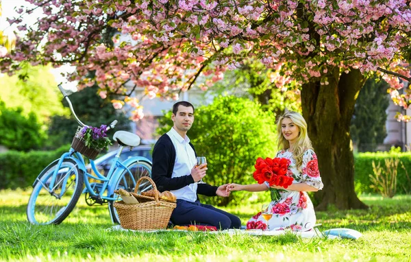 Felices juntos. pareja enamorada en la hierba verde. disfrutando de la naturaleza juntos. haciendo picnic en el parque de la ciudad. hombre y mujer relajarse con la cesta de la comida. Romántica pareja de viajeros bajo el árbol de flores de sakura —  Fotos de Stock