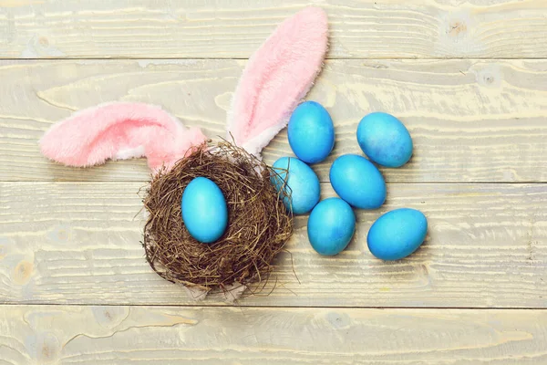巣のある青い色で描かれた伝統的な卵 — ストック写真