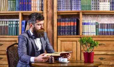 Lüks takım elbiseli sakallı adam eski kütüphanede.