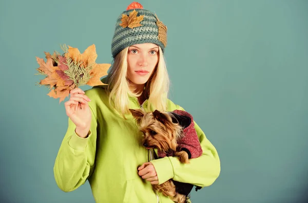 regular flea treatment. Girl hug cute dog and hold fallen leaves. Woman carry yorkshire terrier. Take care pet autumn. Veterinary medicine concept. Health care for dog pet. Pet health tips for autumn