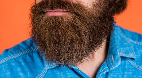 Close-up de cabelo bem preparado. Cuidado com o cabelo e barba. Homem brutal, confiante e bonito. Cuidados faciais. Hipster maduro com barba. Hister caucasiano brutal com bigode. Cuidados com barbeiros. Homem barbudo — Fotografia de Stock